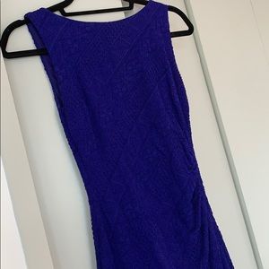 Cache Royal Blue Textured Bodycon Dress Brand New